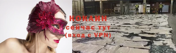 винт Коряжма