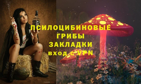 винт Коряжма