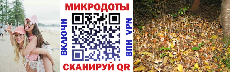 Галлюциногенные грибы Psilocybe Купить Асино